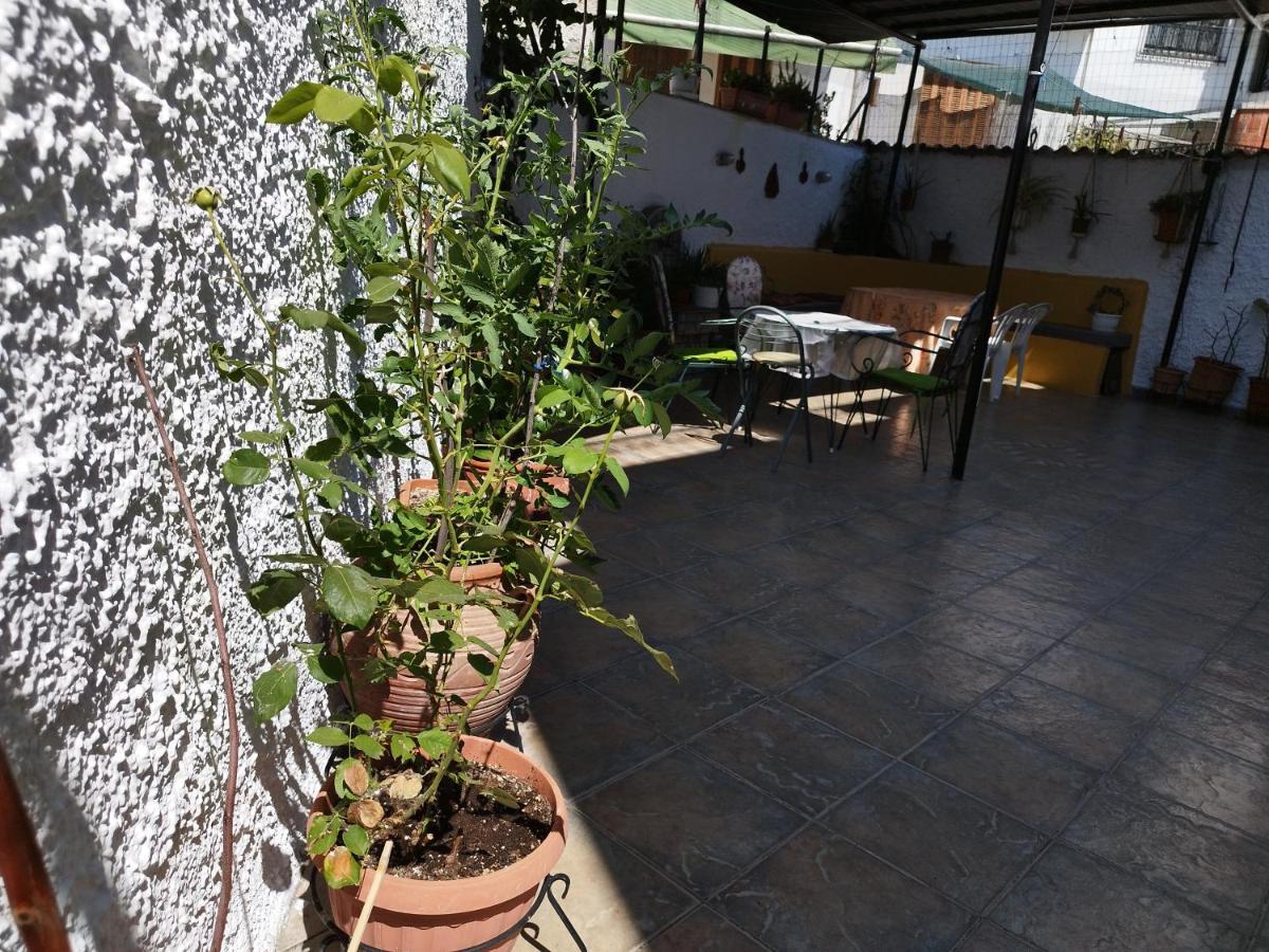 וולוס Voulas Guest House מראה חיצוני תמונה