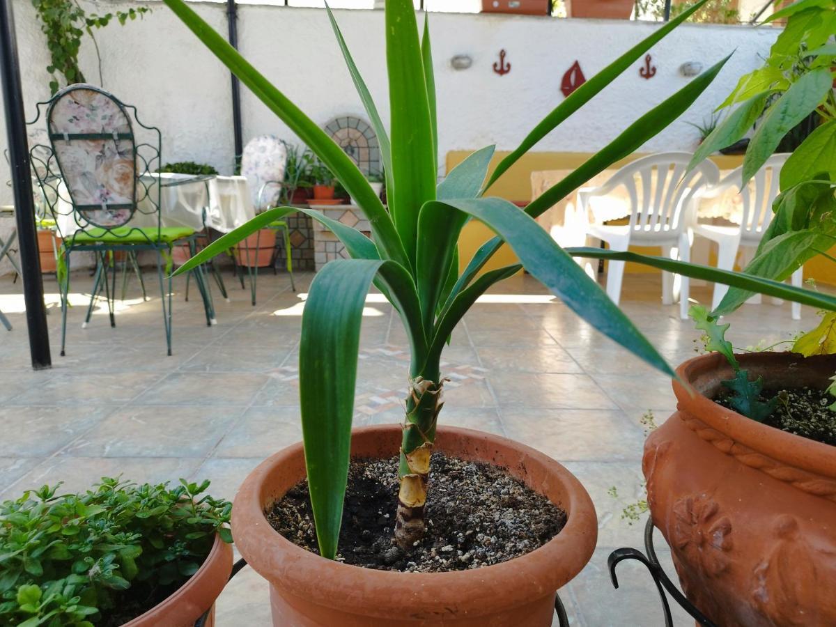 וולוס Voulas Guest House מראה חיצוני תמונה
